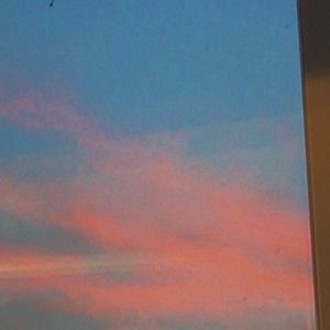 Meet your Posher, Carlee